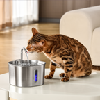 Fontaine À Eau De 2,2 L - chat buvant à côté de la fontaine sur une table