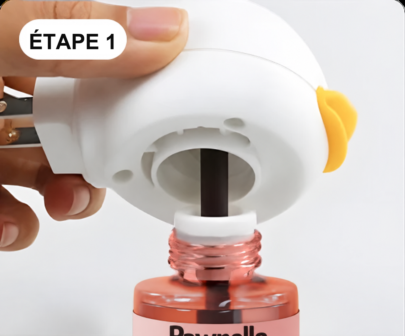Assemblez le Diffuseur & la Recharge