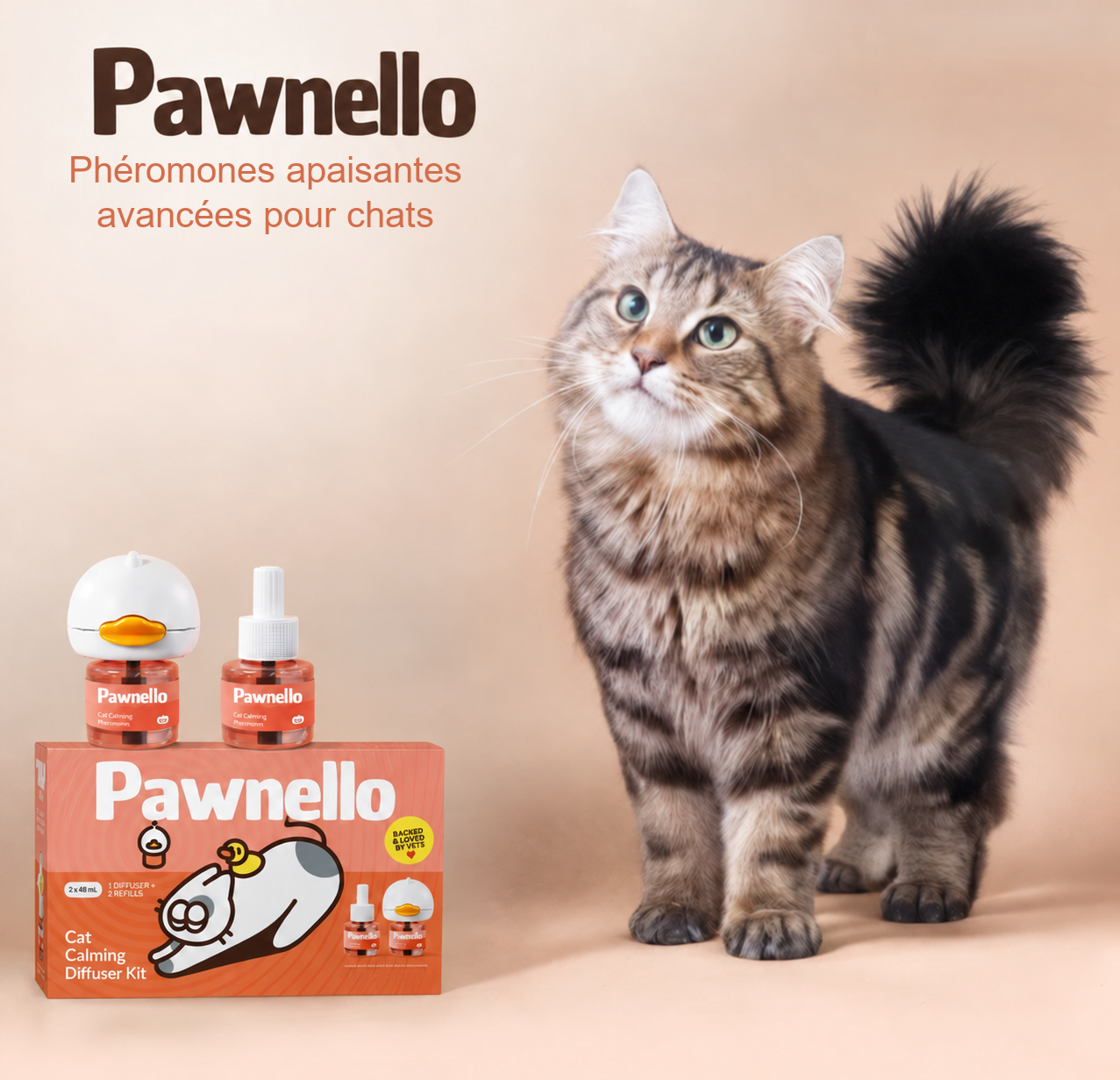 Ne Confiez Pas Votre Chat à un Autre Foyer